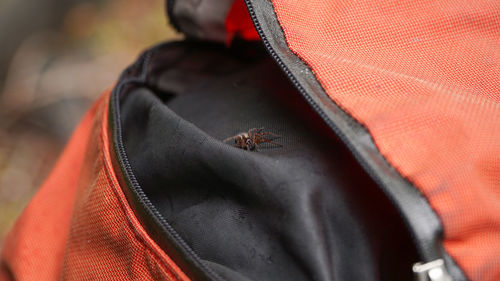 Close-up of black hat