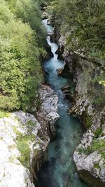 High angle view of stream flowing through rocks in forest