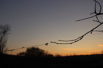 Scenic view of silhouette trees against sky during sunset