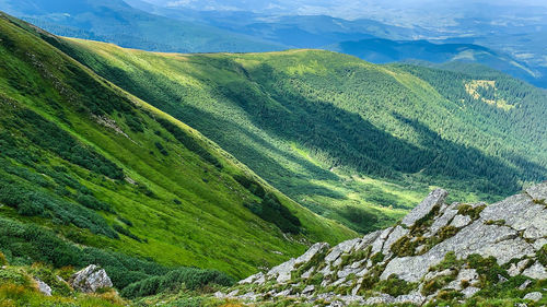 Scenic view of landscape