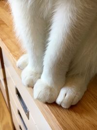 Close-up of cat relaxing on wooden floor