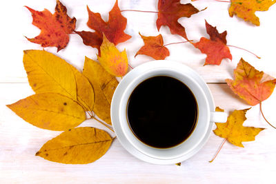 Directly above shot of autumn leaves on table