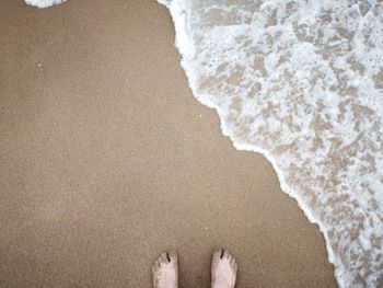 Low section of man standing on beach