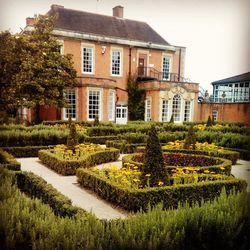 Plants in front of house