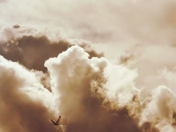 Low angle view of bird flying in sky