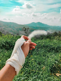 Cropped hand of person holding feather outdoors