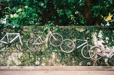 Bicycle parked against wall