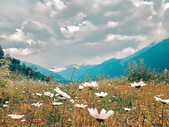 Scenic view of sea and mountains against sky