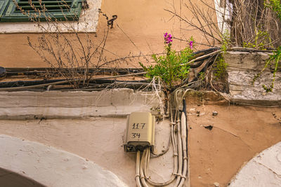Telephone booth against wall