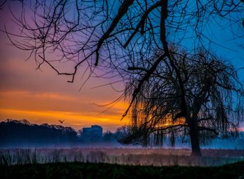 Silhouette bare trees by lake against sky during sunset