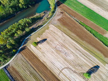 High angle view of agricultural field