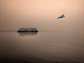 Seagull flying over sea against sky