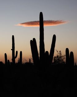 Silhouette people at sunset