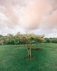 Scenic view of land against sky