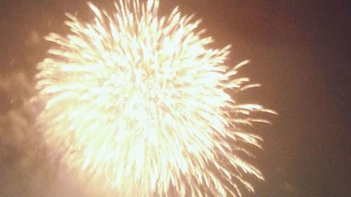 Low angle view of firework display at night