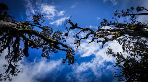 Low angle view of cloudy sky