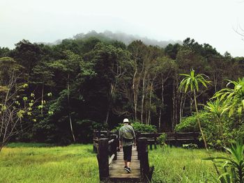 Man standing amidst trees in forest