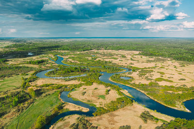 Aerial view of river flowing through forest