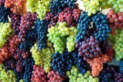 Full frame shot of fruits