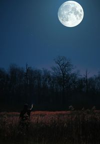 Scenic view of moon on field against sky at night