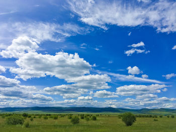 Scenic view of landscape against blue sky