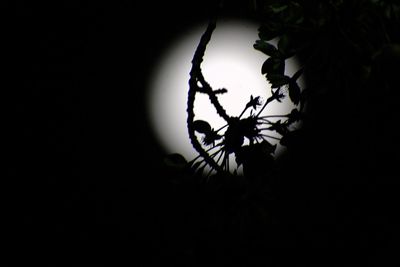 Close-up of lamp on the wall