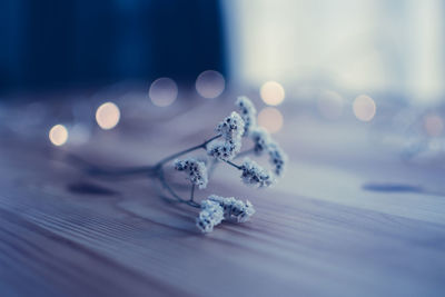 Close-up of illuminated decoration on table