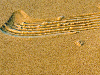 High angle view of sand on beach