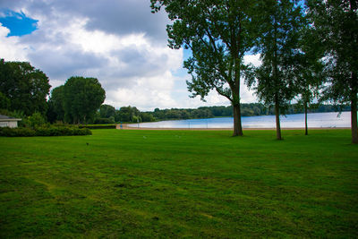 Trees on field against sky