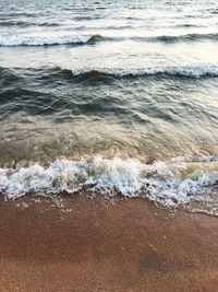 Scenic view of beach