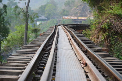 Railroad tracks amidst trees