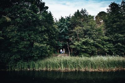 People standing by trees on land against sky