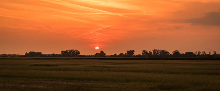 Scenic view of field against sky during sunset