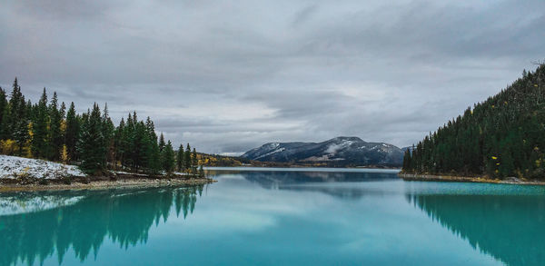 Scenic view of lake by trees against sky