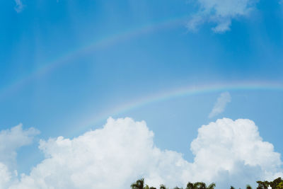 Low angle view of rainbow over trees