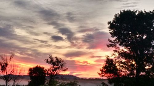 Silhouette trees against dramatic sky during sunset