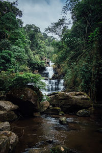 Stream flowing through rocks in forest