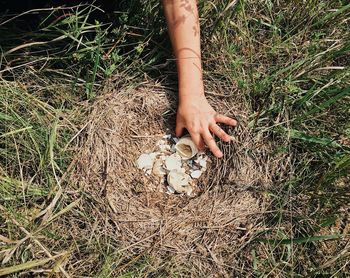 High angle view of cropped hand holding broken eggs in nest