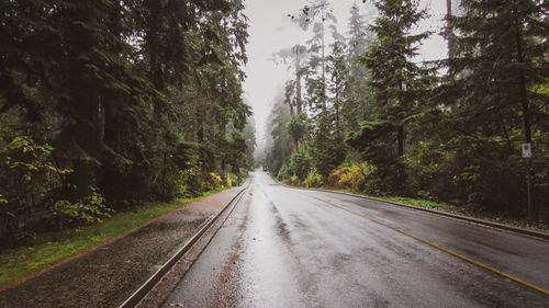 Empty road amidst trees in forest