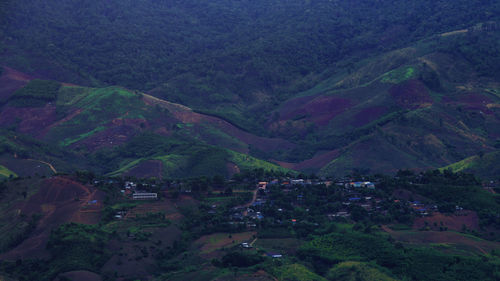 High angle view of houses and trees on mountain