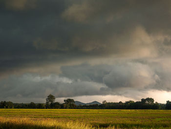 Scenic view of agricultural field against cloudy sky