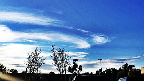 Low angle view of silhouette trees against sky