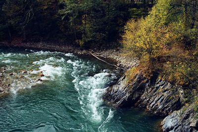 Scenic view of waterfall in forest