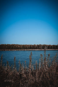 Scenic view of lake against clear blue sky