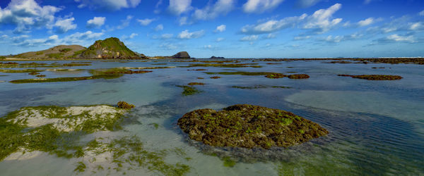 Scenic view of sea shore against sky