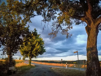 Road by trees against sky during autumn