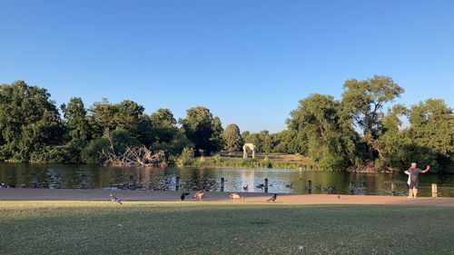 People by lake against clear blue sky