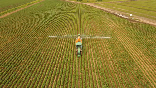 Aerial view tractor spraying the chemicals on the large green field. 