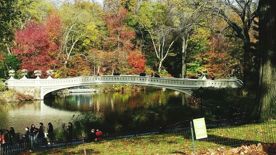 Autumn in Central Park