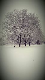 Snow covered landscape
